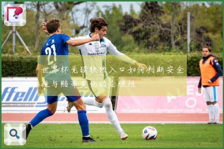 世界杯竞猜软件入口如何判断安全性与赔率变化的合理性
