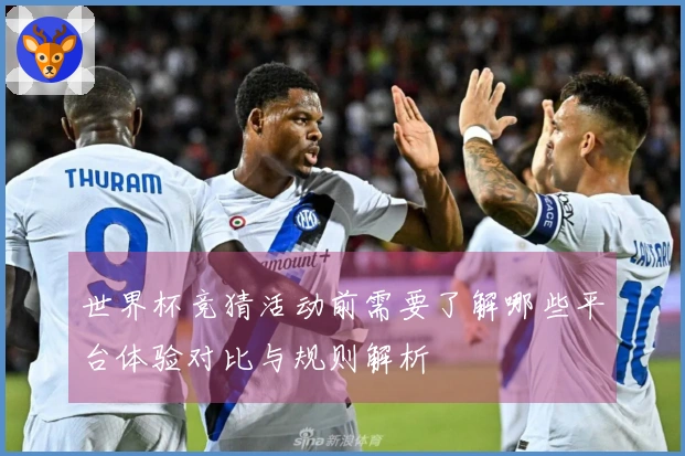 世界杯竞猜活动前需要了解哪些平台体验对比与规则解析
